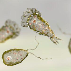 Kerala Reports Rise in Brain-Eating Amoeba Cases: Expert Explains Symptoms, Spread, and Safety Tips