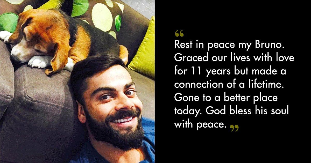 From Farhan Akhtar To Priyanka Chopra, 16 Celebs Who Shared What It’s Like To Lose A Pet