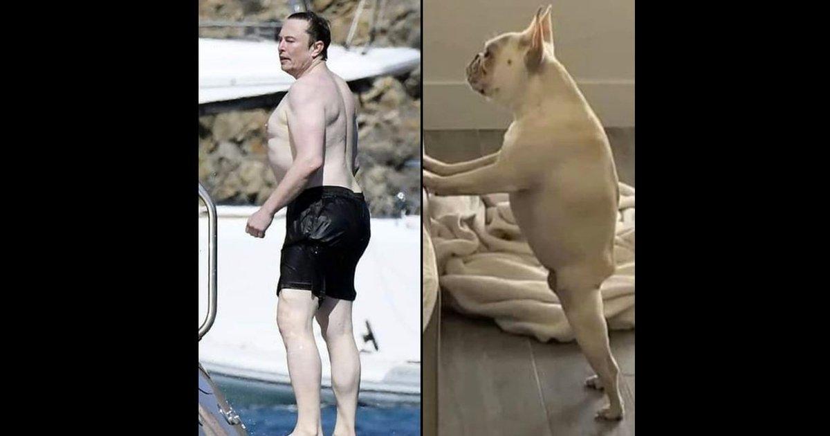 10 Reasons Why Elon Musk Was In The News Recently