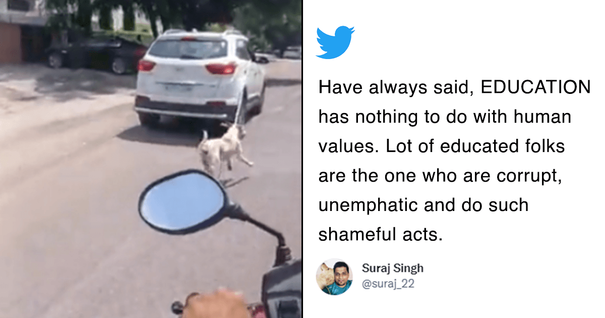 A Dog Was Chained To A Car & Dragged Around The City. What Is Wrong With People?