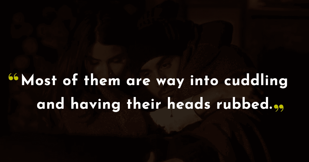 13 Women On Reddit Share Facts About Men They Didn’t Know Before Dating One