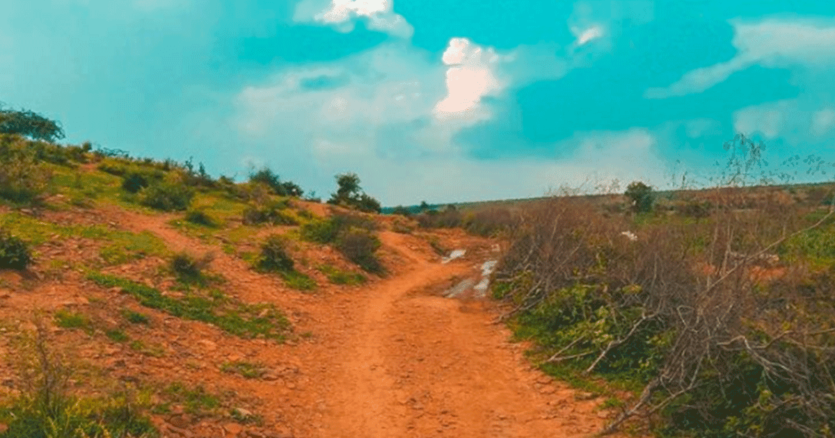 In The List Of Bizarre Things That Happen Only In Bihar, Goons Steal 2 KM Road