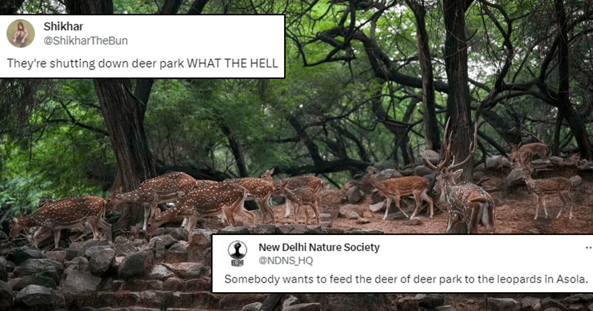 Delhi’s Deer Park Is Closing Down & Its Deer Will Apparently Be Shifted To Forests As Leopards’ Prey