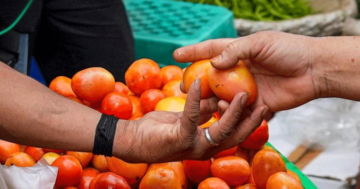 ‘Tomato Theft’ Is The New National Issue Amid Price Rise & These Incidents Are Proof