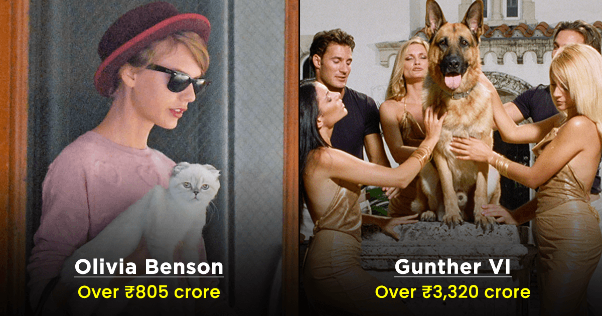 6 Celebrity Pets So Rich Their Net Worth Can Sponsor Our Lives