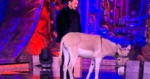 PETA Calls Out Bigg Boss 18 For Featuring A Donkey, And The Drama Just Got Real