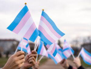 Supreme Court Panel Asks Centre to Drop Transgender Bill Over Self-ID Rights