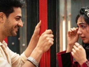 Lock Upp: What Is ‘Milking A Divorce’? Here’s Why Reddit Suspects Gaurav Khanna & Akanksha Chamola Are Doing It
